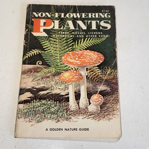 1967 Non-Flowering Plants A Golden Nature Guide Mushrooms Ferns Mosses