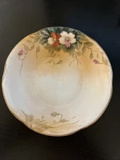 Nippon Hand Painted plate