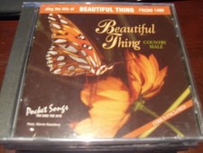 POCKET SONGS KARAOKE DISC PSCDG 1460 BEAUTIFUL THING COUNTRY MALE CD G MULTIPLEX
