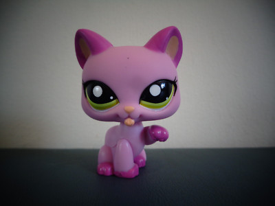 purple lps cat