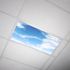 Octo Lights - Fluorescent Light Covers - Classroom, Office, Home - Cloud - 010