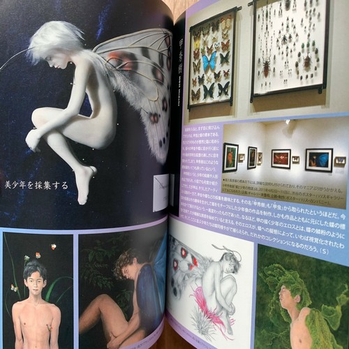 Talking heads vol.46 Ball Jointed Doll Degenerate Art Gothic Fantasy Book Japan - Picture 9 of 12