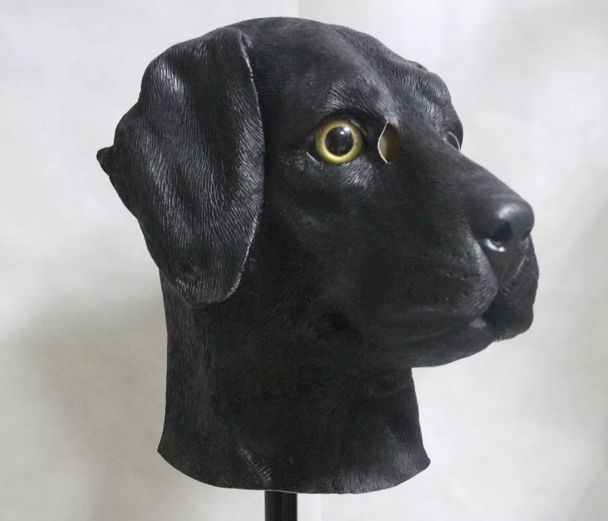 Labrador clearance fancy dress