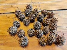 25 Sweet Gum Tree Liquidambar Spiked Ball Pods, Dried Crafts Wreaths