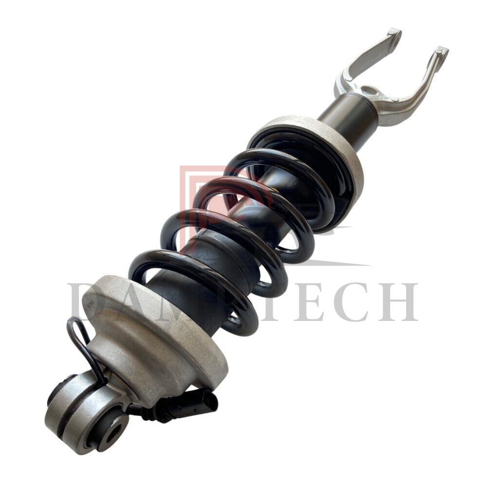 Audi R8 2016-2020 Front Left, right Strut assemblies Set