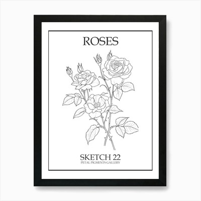 Rosen Skizze 22 Poster Kunstdruck gerahmt Wandbild Poster Leinwanddruck Bild