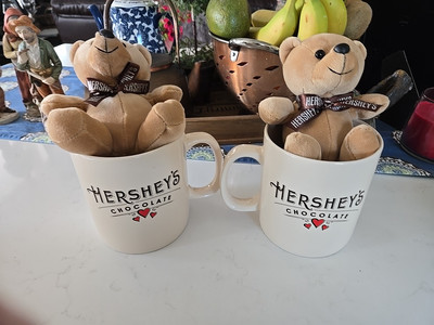 Hershey's Chocolate 24oz XL Oversized Coffee Mug With Love Hearts 5'' & Bear 