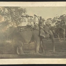 Antique Photo Women Riding Elephant In Nagaon Assam India 1897