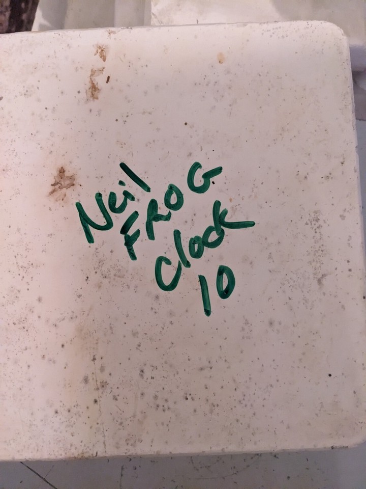 Like NEIL Frog Clock Vintage Slip Casting Ceramic Mold eBay