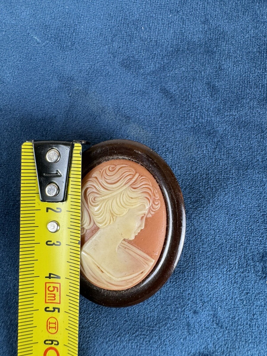 Broche Vintage Camée Damart - Portrait De Femme Années 90 - Plastique - Occasion