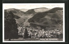 Todtnau, Gesamtansicht, Ansichtskarte 