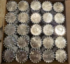 2026D SemiQuincentennial Enduring Liberty Half Dollar Rolls Entire Box-50 Rolls!