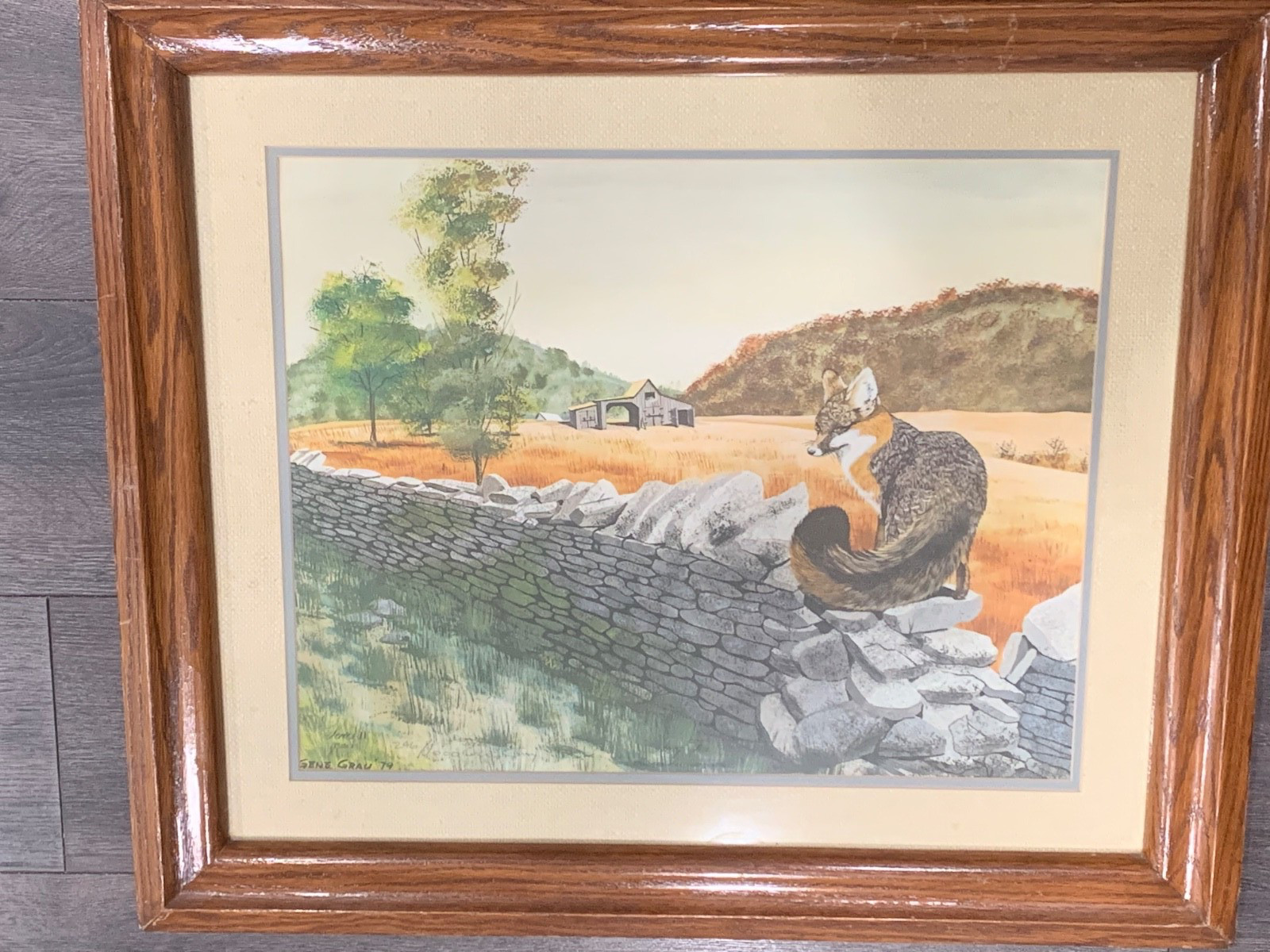 Gene Gray 1979 Signed Proof I Print 246/1000 Fox on Wall Framed Wildlife Artist