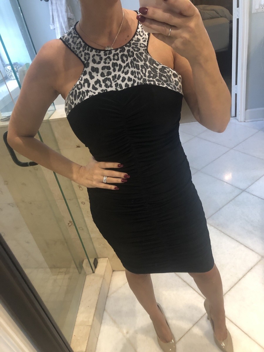 Cache Sequin Print Stretch Knit Slimming Dress Career Cheetah Animal M