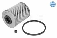 Meyle Kraftstofffilter FüR Renault Avantime,Clio Iii,Espace III Iv,Grand,Kangoo