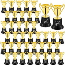 Golden Mini Trophies Bulk, 5 Inch Tall Pack Of 48 Great for Teachers  Coaches