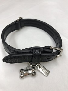 coach dog collar
