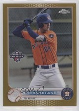 2022 Topps Pro Debut Chrome Gold Refractor 7/50 Tyler Whitaker #PDC-88 0y1j