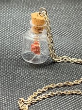 Red Rose in Small Bottle Children's Girls Necklace Jewelry