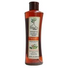 Arbol Verde Natural Anti Hair Loss Shampoo 500ml 2-Pack Organic Mexican Plants