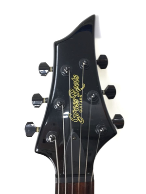Grassroots Grass Roots By Esp Forest G-FR-56G Electric Guitar From