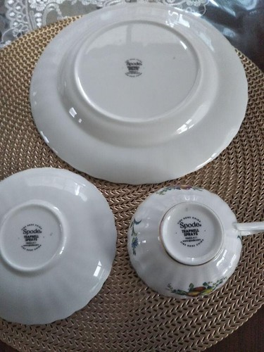 Spode Trapnell Sprays Cup Saucer Plate 23cm Trio Set - Picture 6 of 18