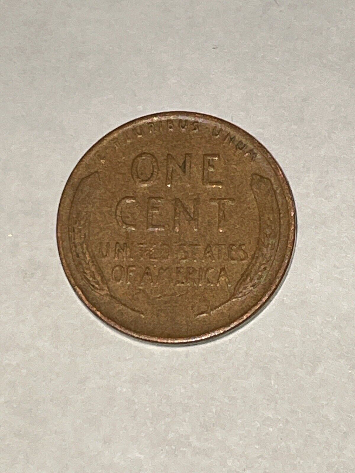 Picture 4 of 4