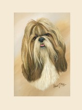 Original Shih Tzu Painting by Robert May