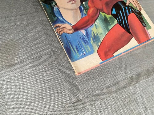 LE FANTÔME 1re SÉRIE N°317 LA PRINCESSE DE GRANIT 1/2 1970 EN BON ÉTAT - Photo 4/4