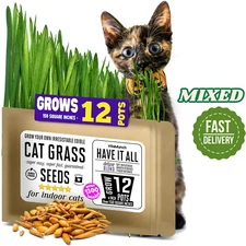 Cat Grass Seeds Deluxe Blend | Free Shipping! | Wheatgrass Ryegrass Oatgrass Mix