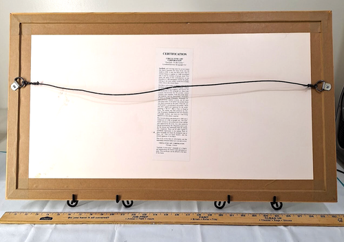 Vintage Garfield : à la lettre édition limitée sérigraphie Cel Jim Davis lire - Photo 8/12