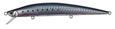 Duo Lure Tide Minnow Slim 120, Chigomori Iwashi (Sardine) DHN0094