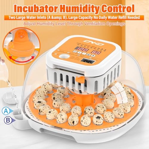36 Quail Incubators for Hatching Eggs, Quail Egg Incubator with Yellow - Bild 6 von 6