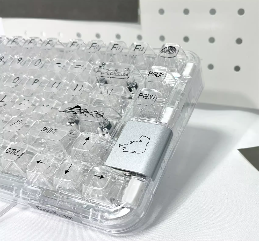 Clear Mechanical Keyboard with Visible Switches