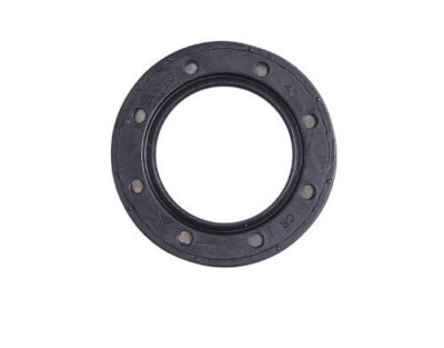 Briggs & Stratton 399781S Öldichtung ersetzt 399781 durch Magneto Power