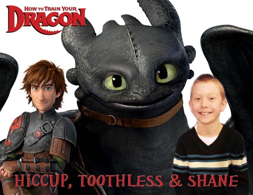 how to train your dragon 3 shirt