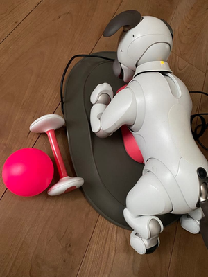 Sony AIBO ERS-1000 Entertainment Robot Dog accessories Japan Used