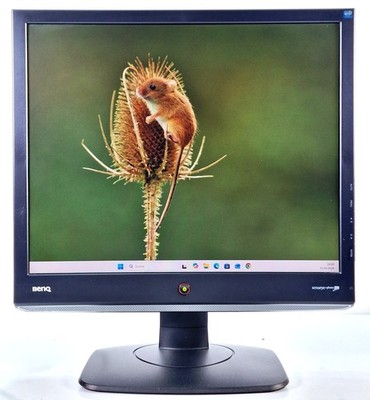 BenQ E910T 19 Zoll Retro PC LCD TFT Monitor DVI VGA 1280 x 1024 Windows 98 XP 7
