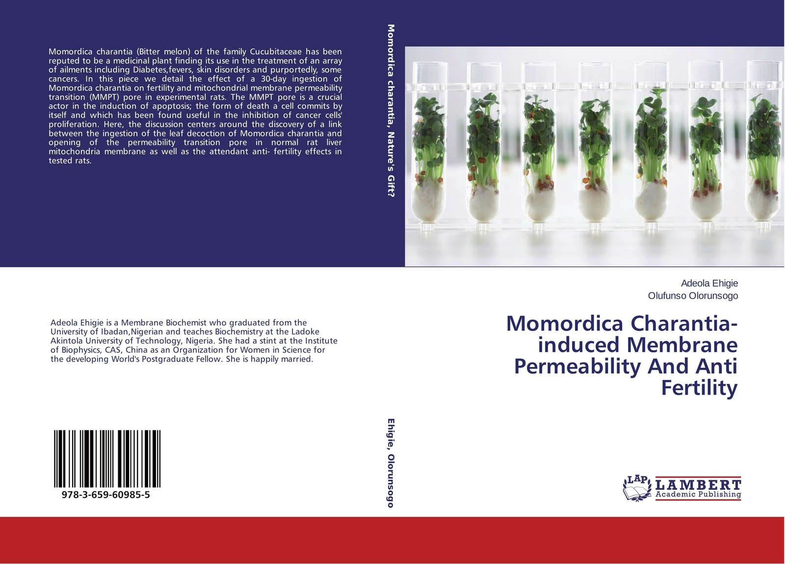 Thumbnail - Adeola Ehigie (u. A.) | Momordica Charantia-induced Membrane