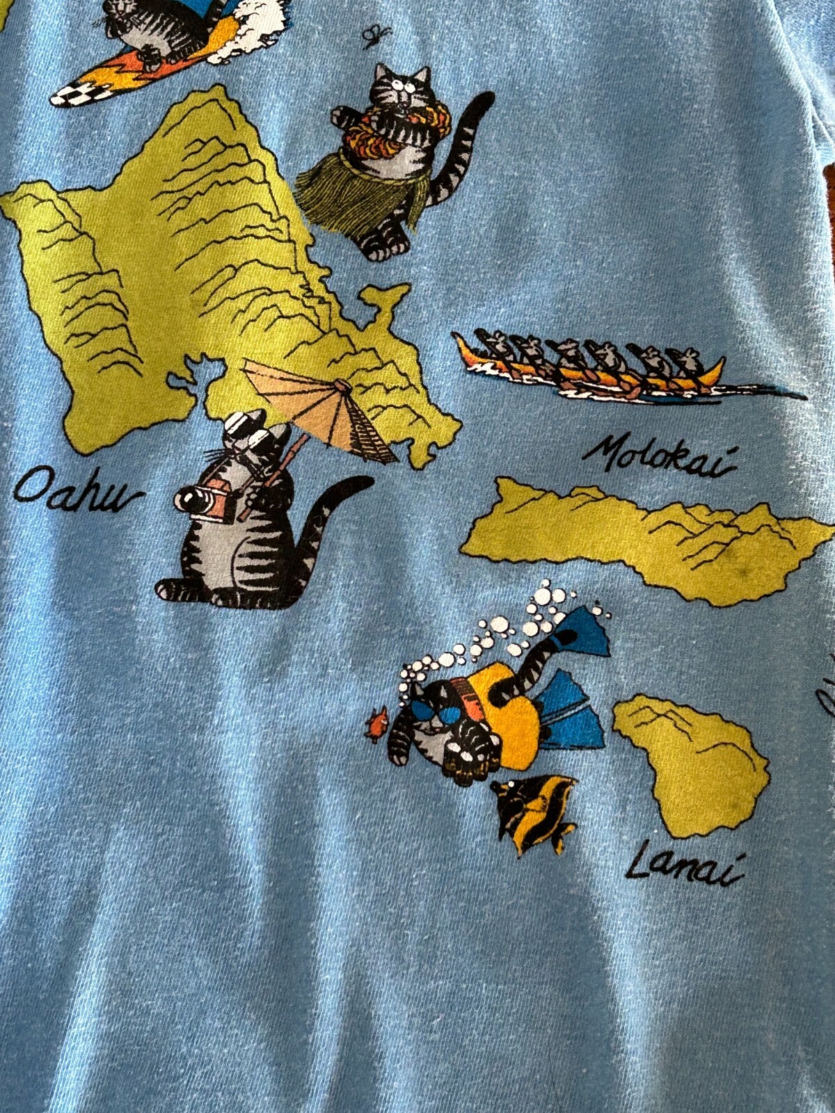 Picture 6 of 12
