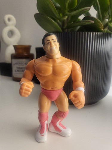 RARE WWE Rick The Model Martel HASBRO WRESTLING AC...