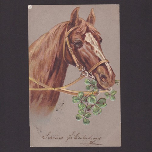 Vintage postcard, Horse with clover, Posted in 1903 Belgium eBay