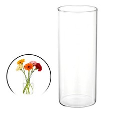 Clear Cylinder Vases, 8 Inch Tall Glass Flower Vase for Table Decor 29oz