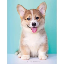 Carousel Calendars,  Puppies 2026 Engagement Planner, 12'' X 12'', 16-Month Cale