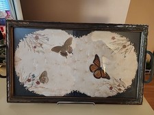 Vintage Butterfly Style Art Glass Tray W/ Sta...
