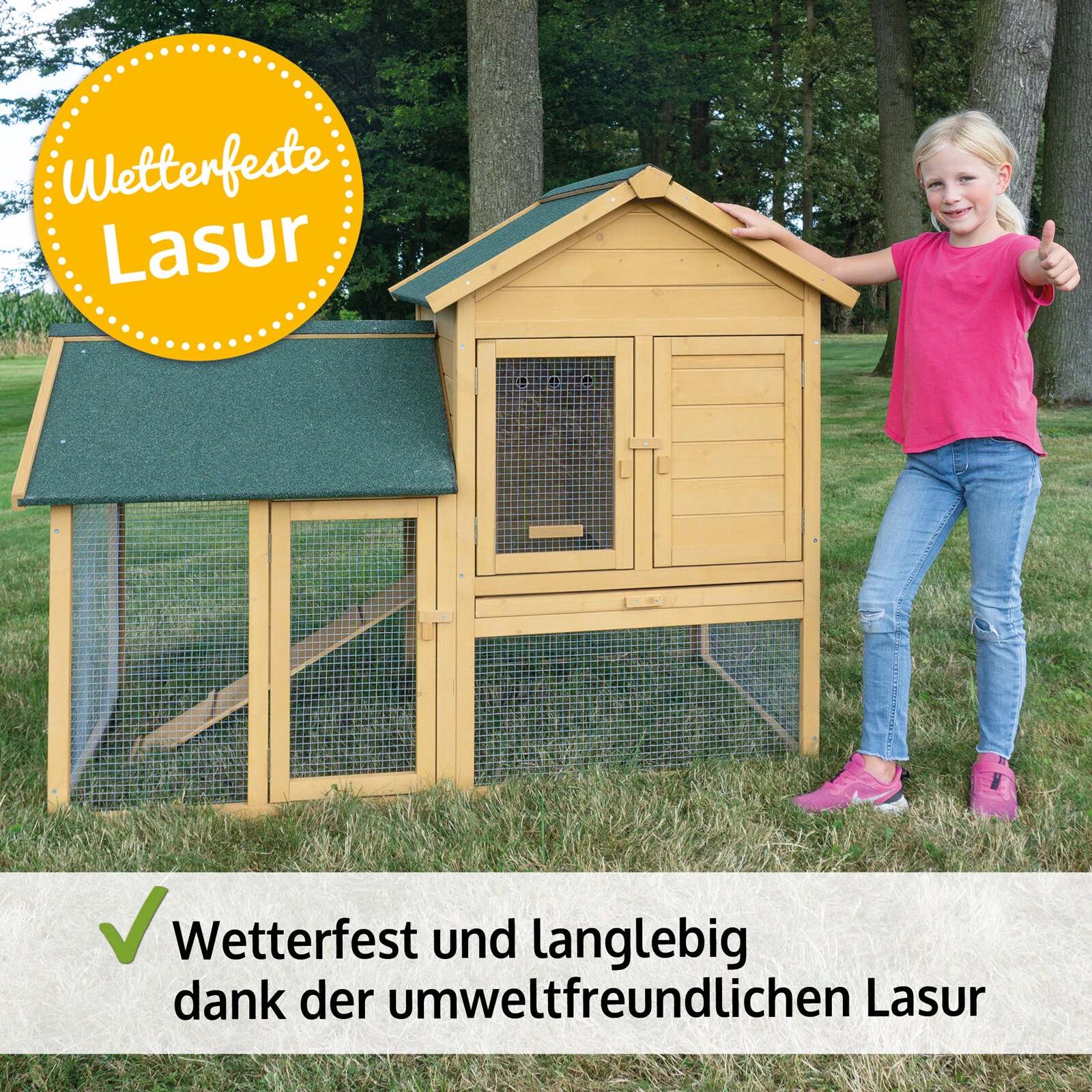 Bild 2 von 12