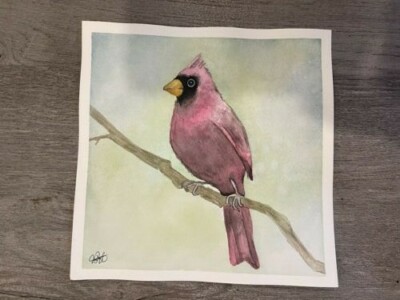 Perched Cardinal original watercolor painting signed One of a kind 8x8
