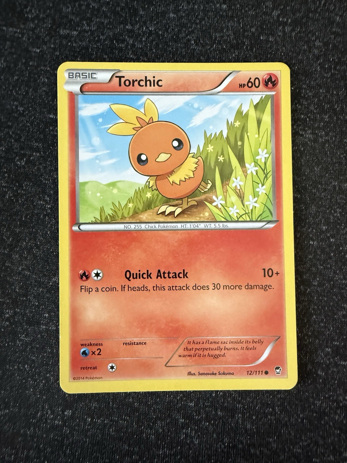 Torchic 12/111- Furious Fists- Regular Common- NM