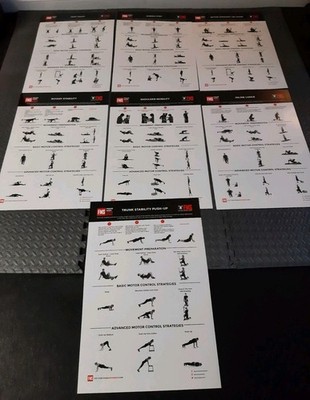 Functional Movement Systems FMS Screen Poster Set Of 7 30''x20'' Gray Cook 