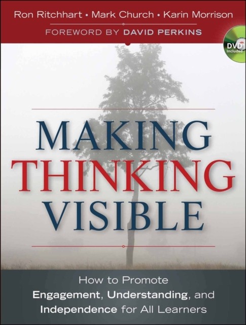 Making Thinking Visible by Karin  Morrison PAPERBACK 9780470915516